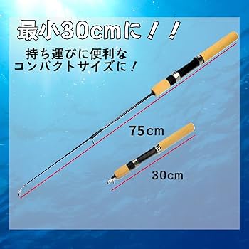 Amazon | FJmark 釣り竿 釣竿 コンパクト モバイル ロッド 75cm